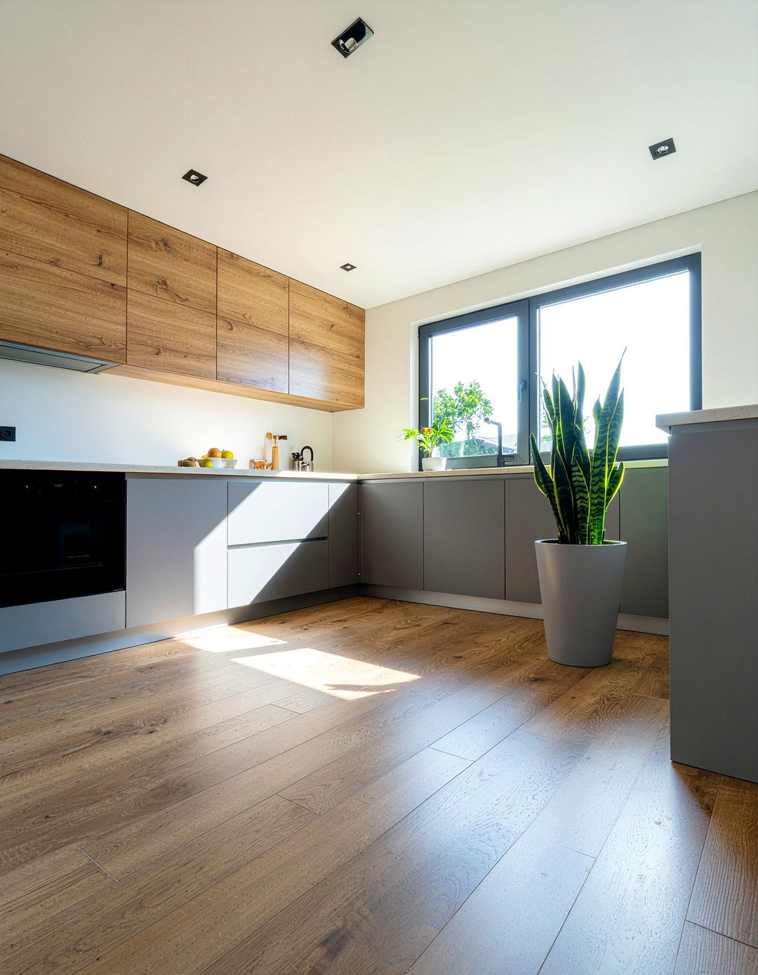 Large succulent floor plant for kitchen - 30 kitchen succulent ideas