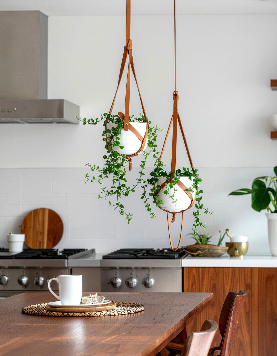 Leather Strap Hanging Plant Holders - 30 hanging plant kitchen ideas