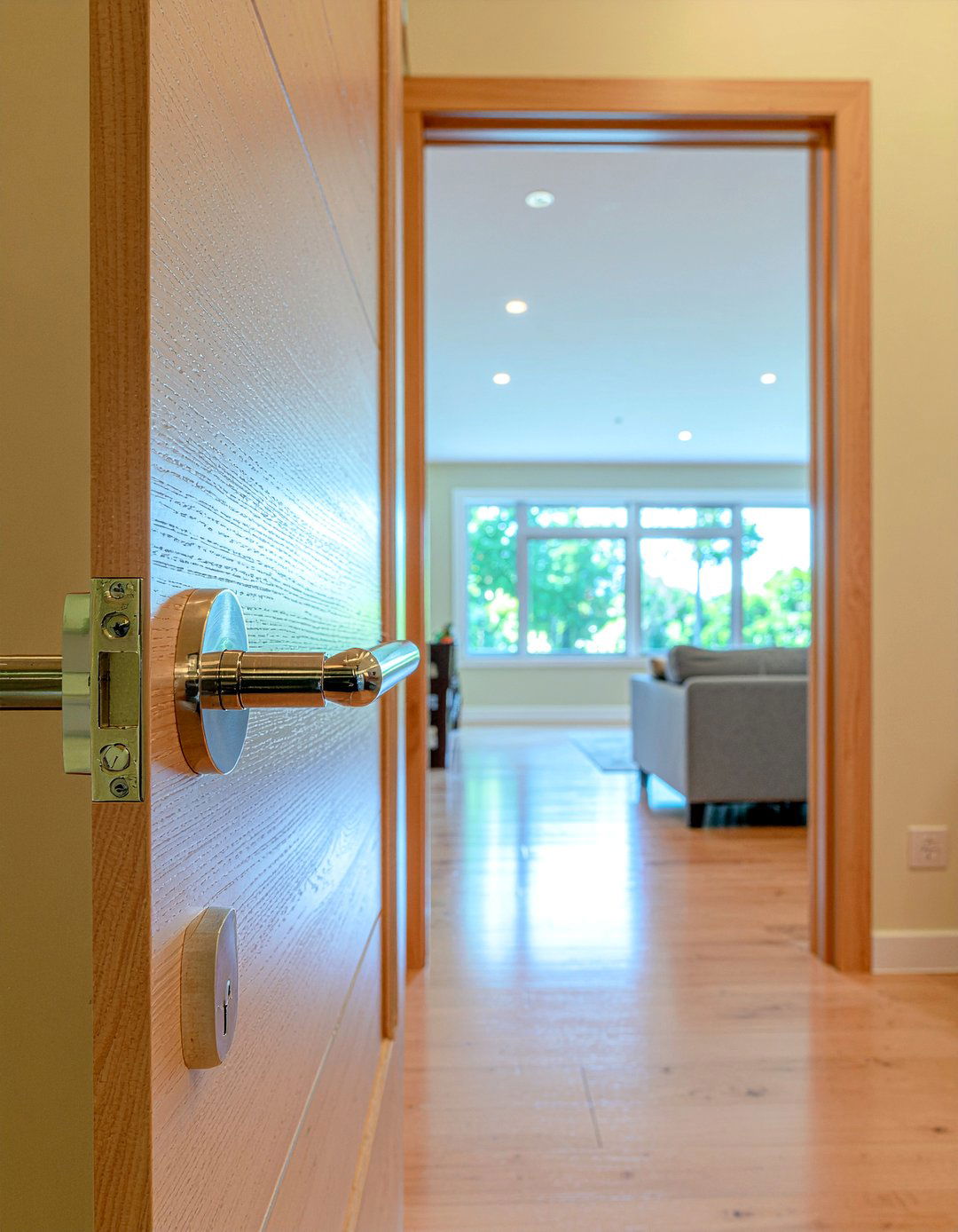 Lever door handles - 30 senior friendly living room ideas