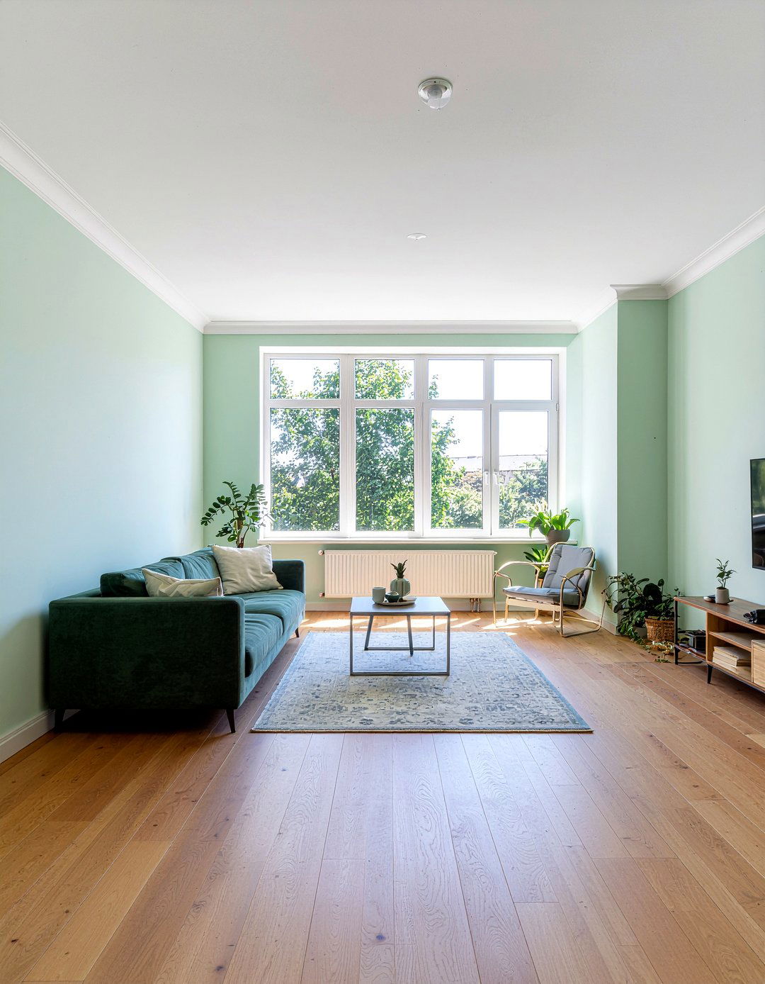 Light sage green living room - 30 living room sage green walls