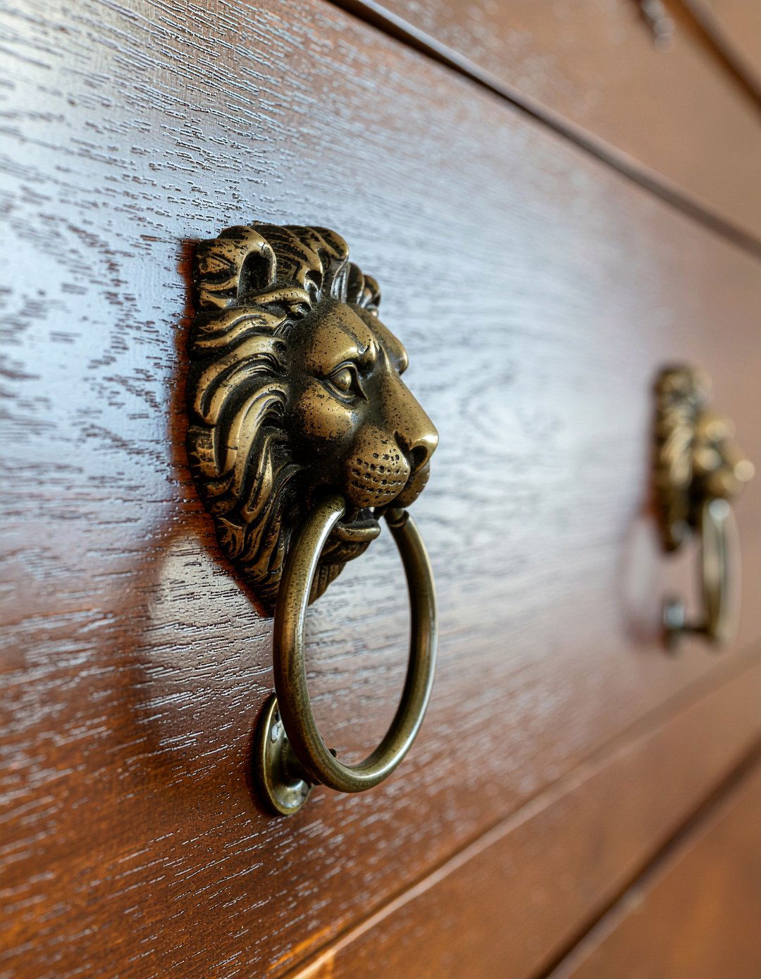 Lion head drawer pulls - 30 living room Regency furniture ideas