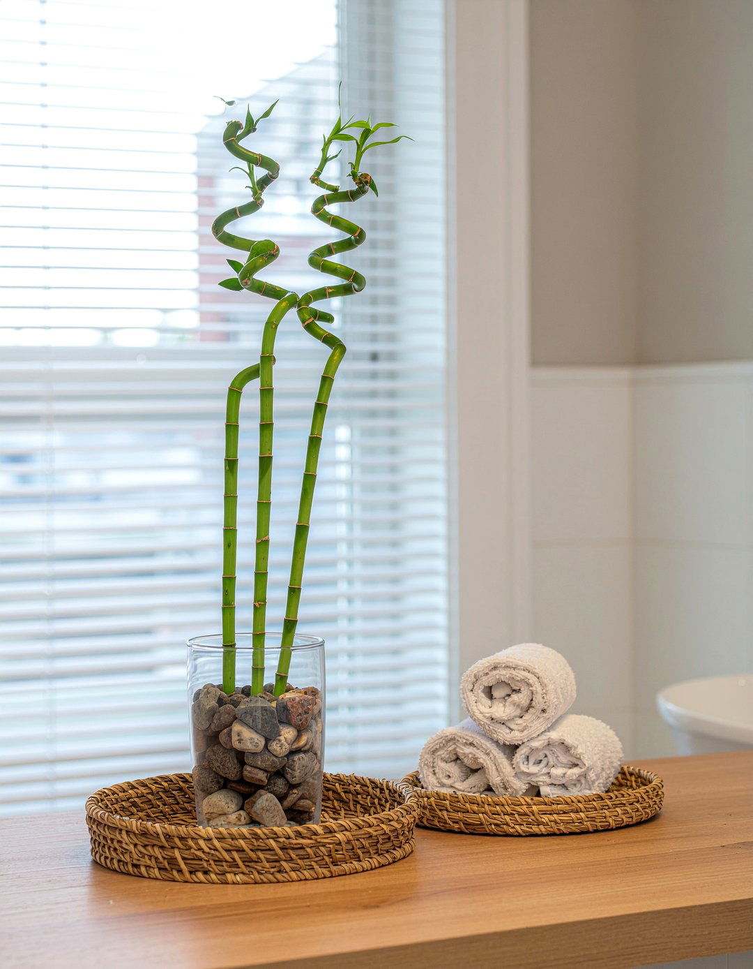 Lucky Bamboo Bathroom - 30 bathroom plant ideas