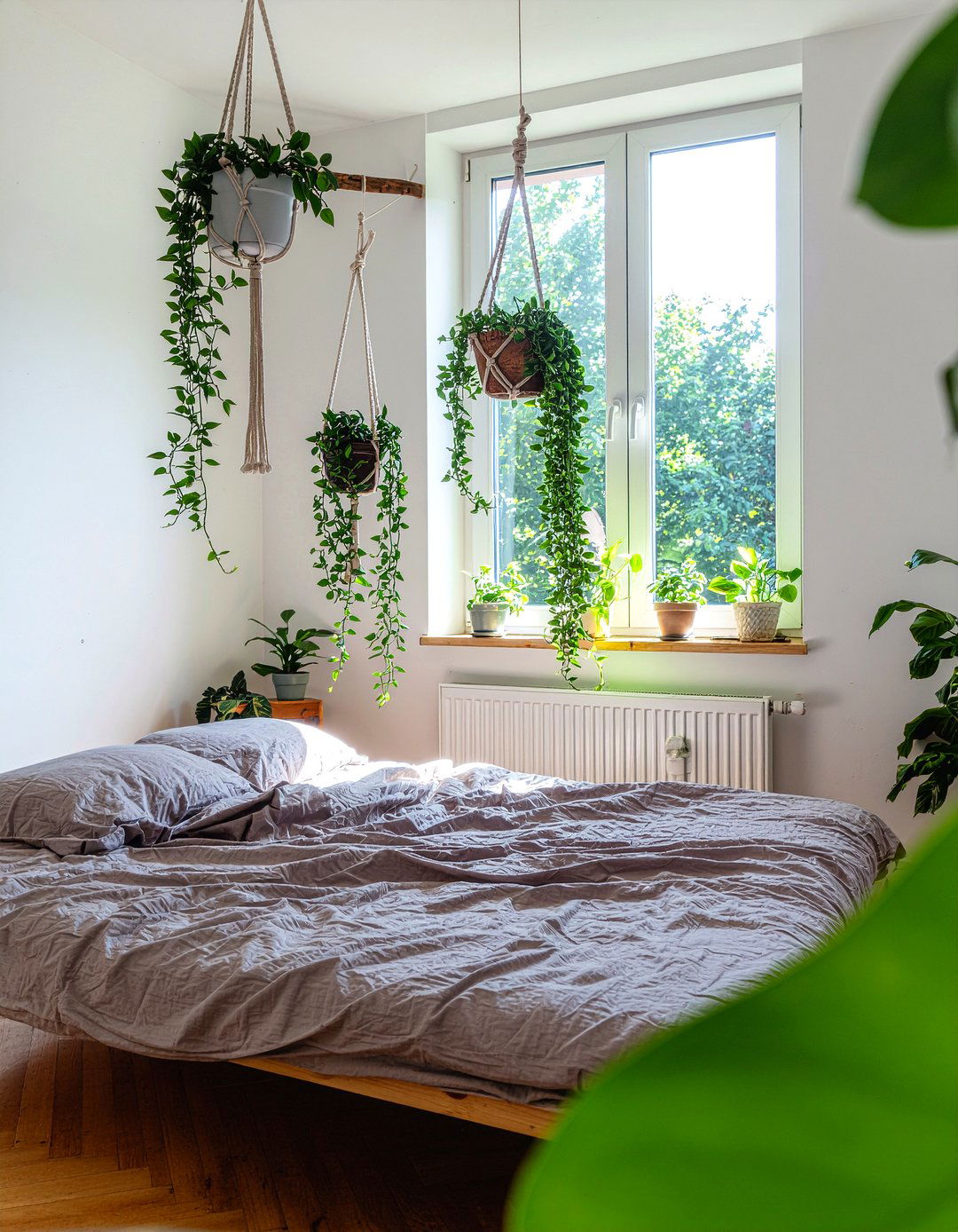 Macrame Plant Hangers - 30 jungle bedroom ideas