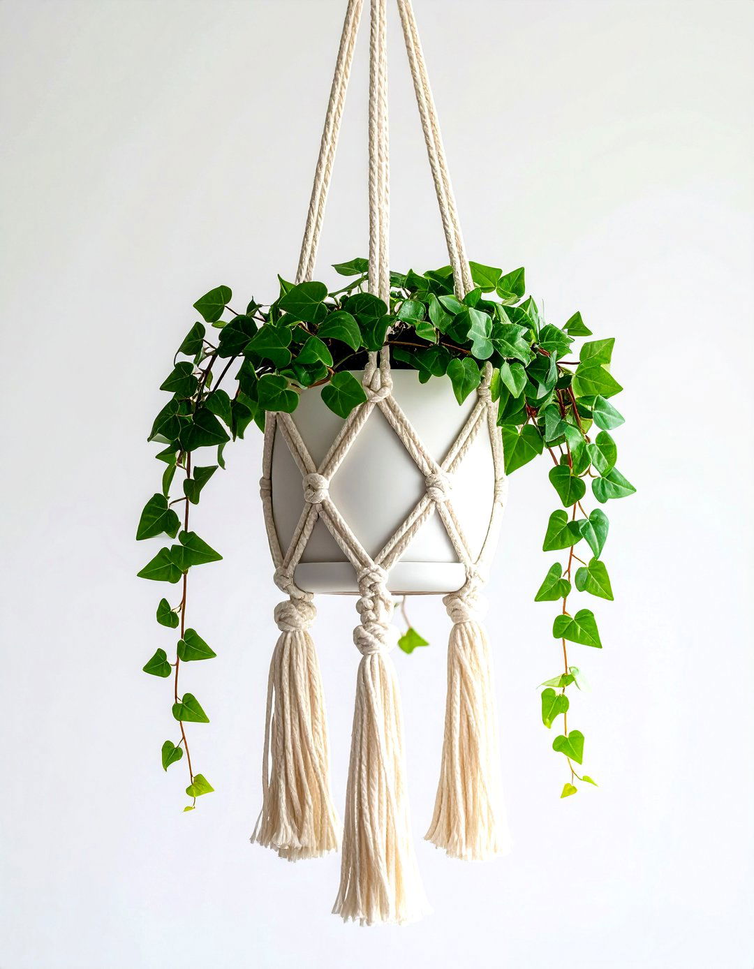 Macrame plant hanger - 30 rental kitchen ideas