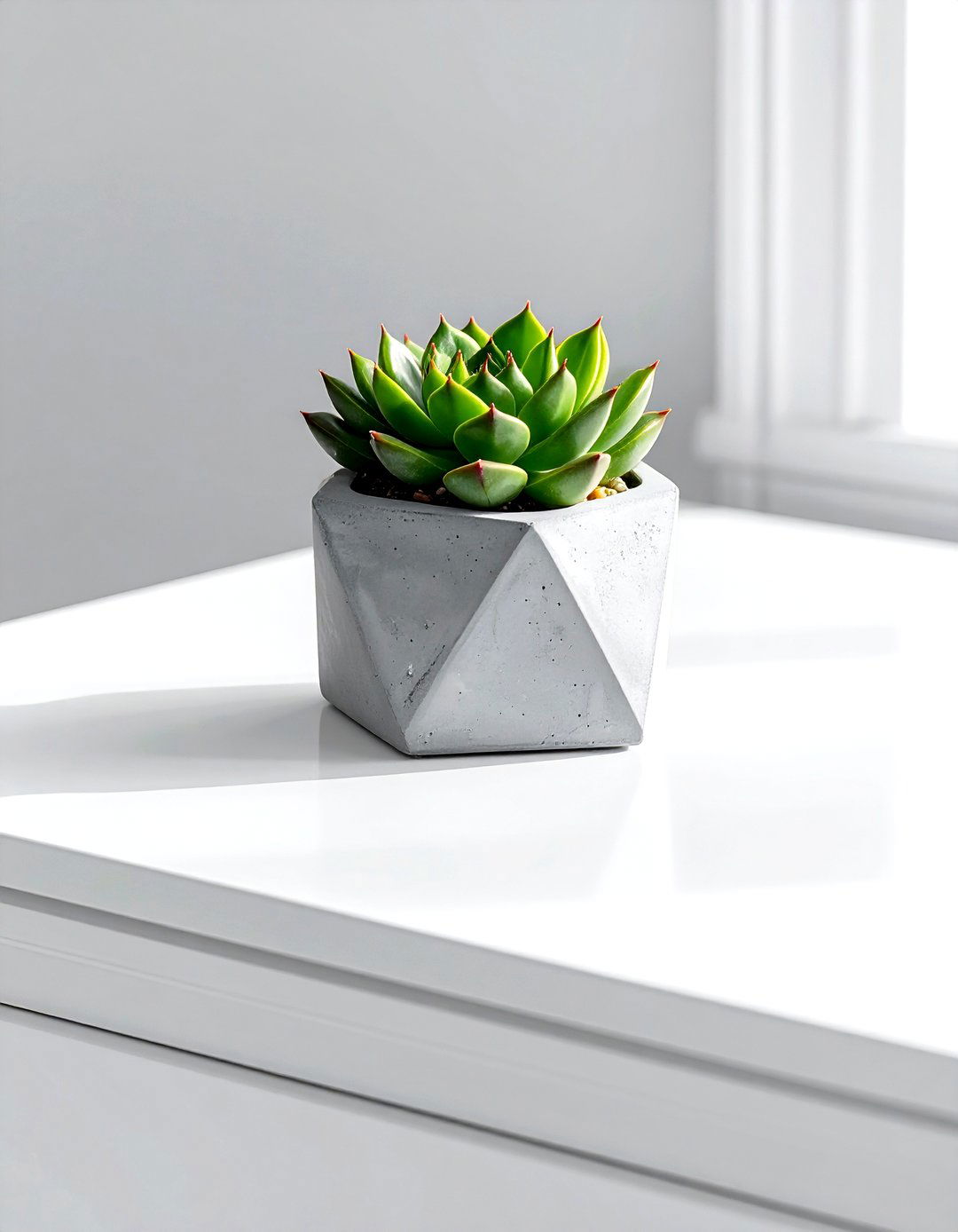 Mini Succulent Pot - 30 dresser top styling ideas