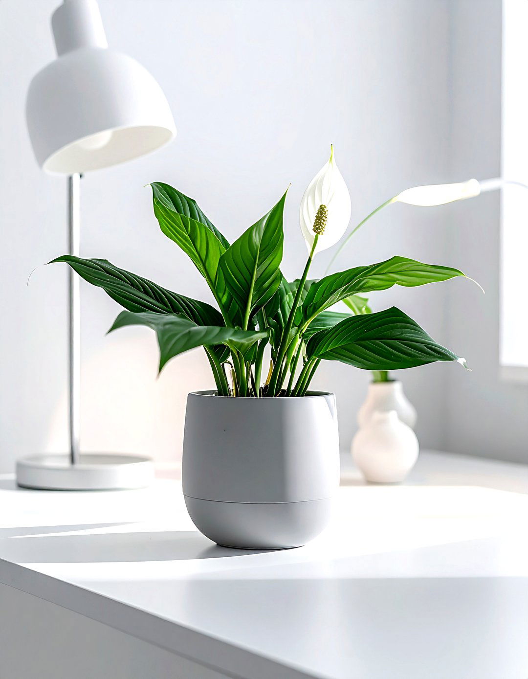 Minimalist Grey Planter - 30 ceramic planter ideas