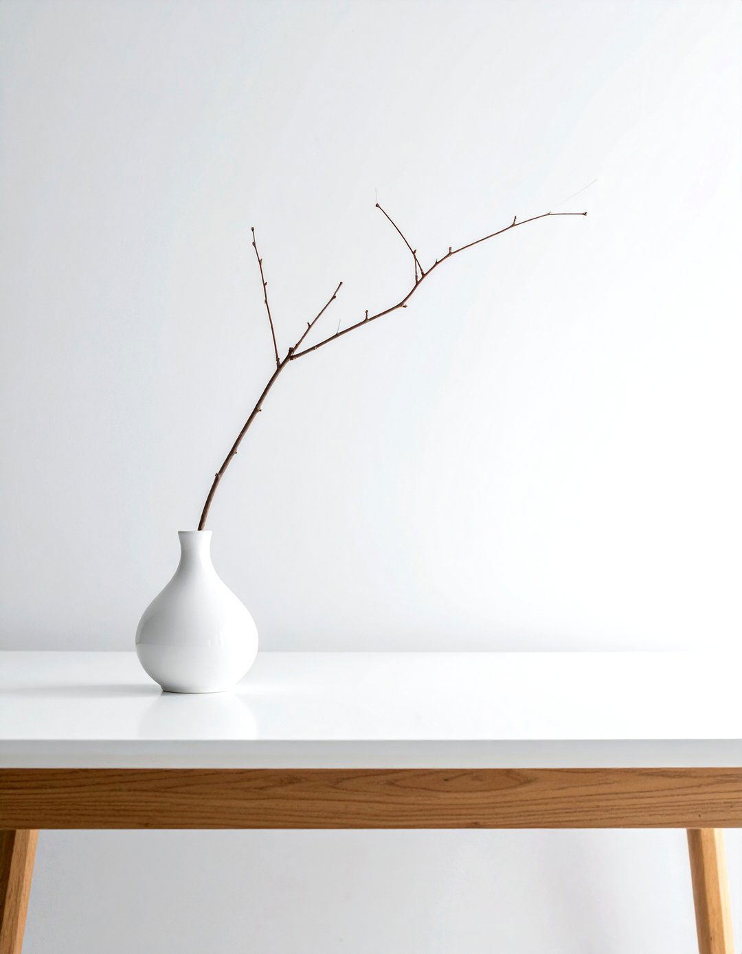Minimalist Single Branch Vase - 30 branch decor ideas