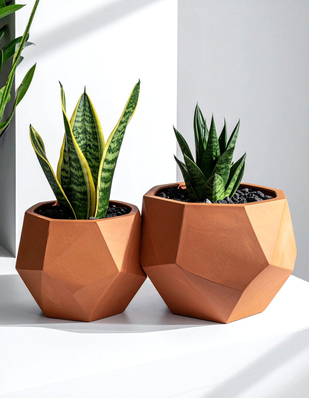 Modern geometric terracotta - 30 terracotta planter ideas