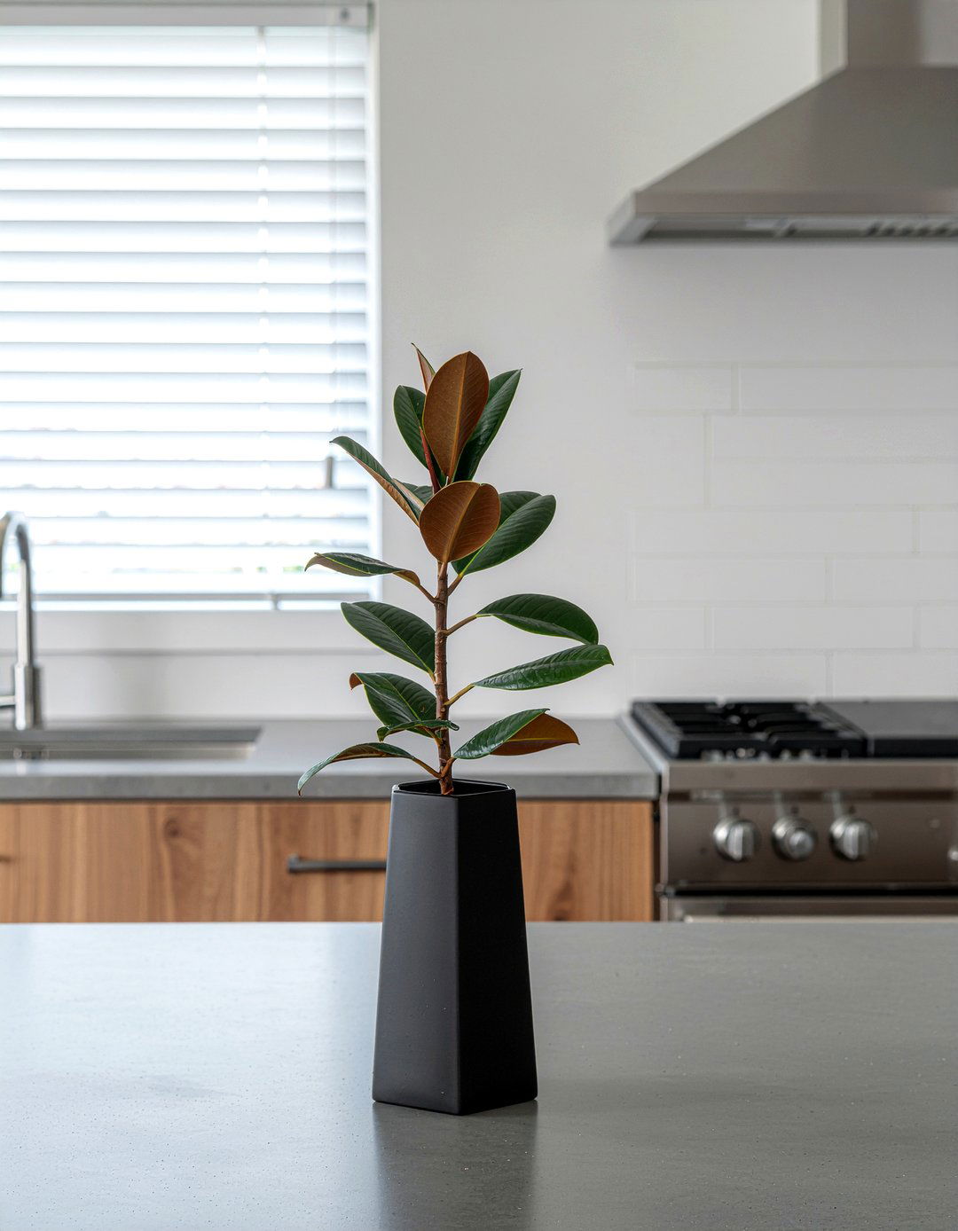 Modern minimalist kitchen florals - 30 kitchen flower arrangement ideas