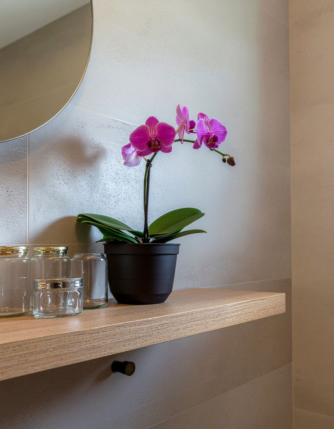 Modern orchid bathroom shelf - 30 bathroom orchid ideas