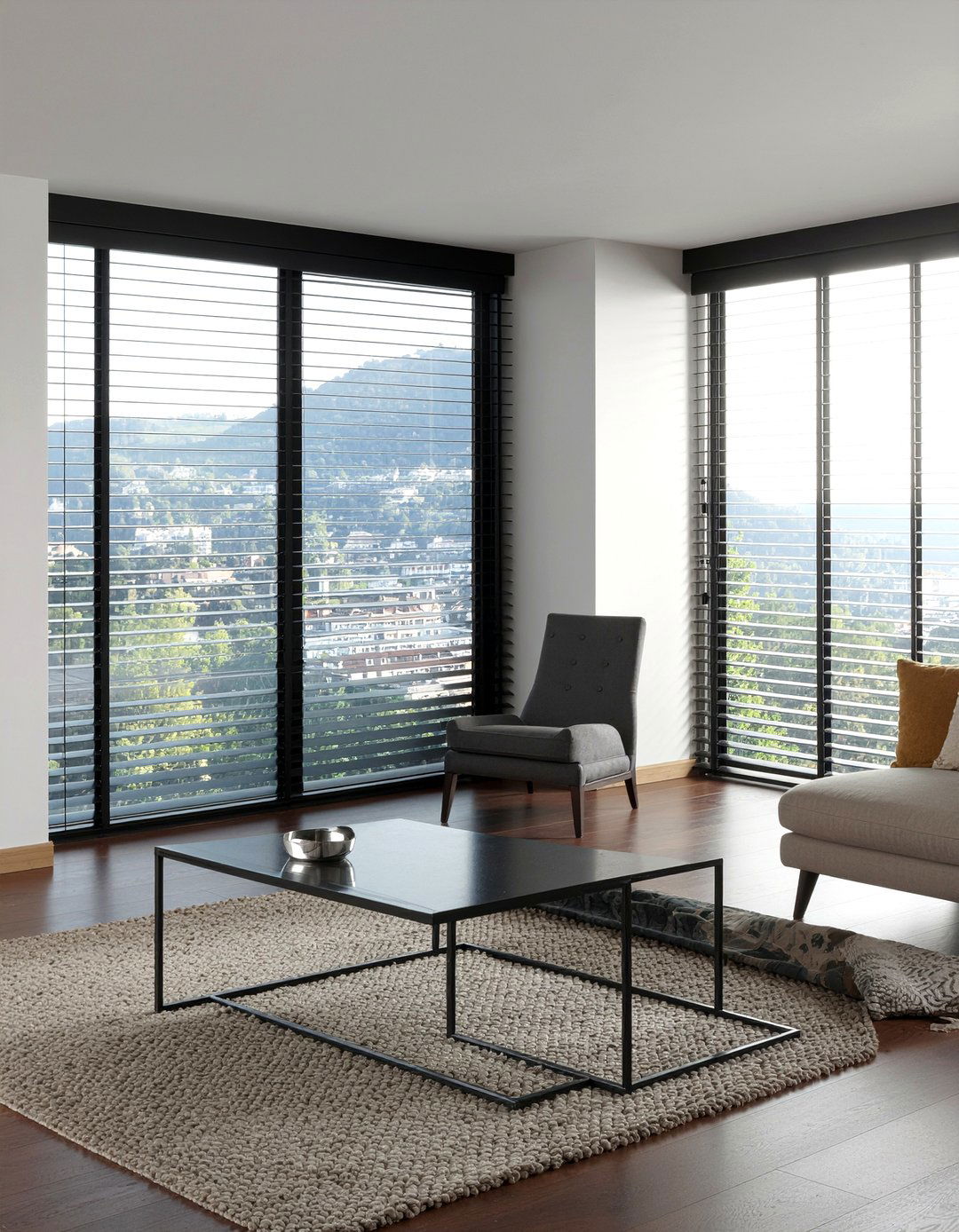 Modern vertical blinds - 30 living room vertical blinds