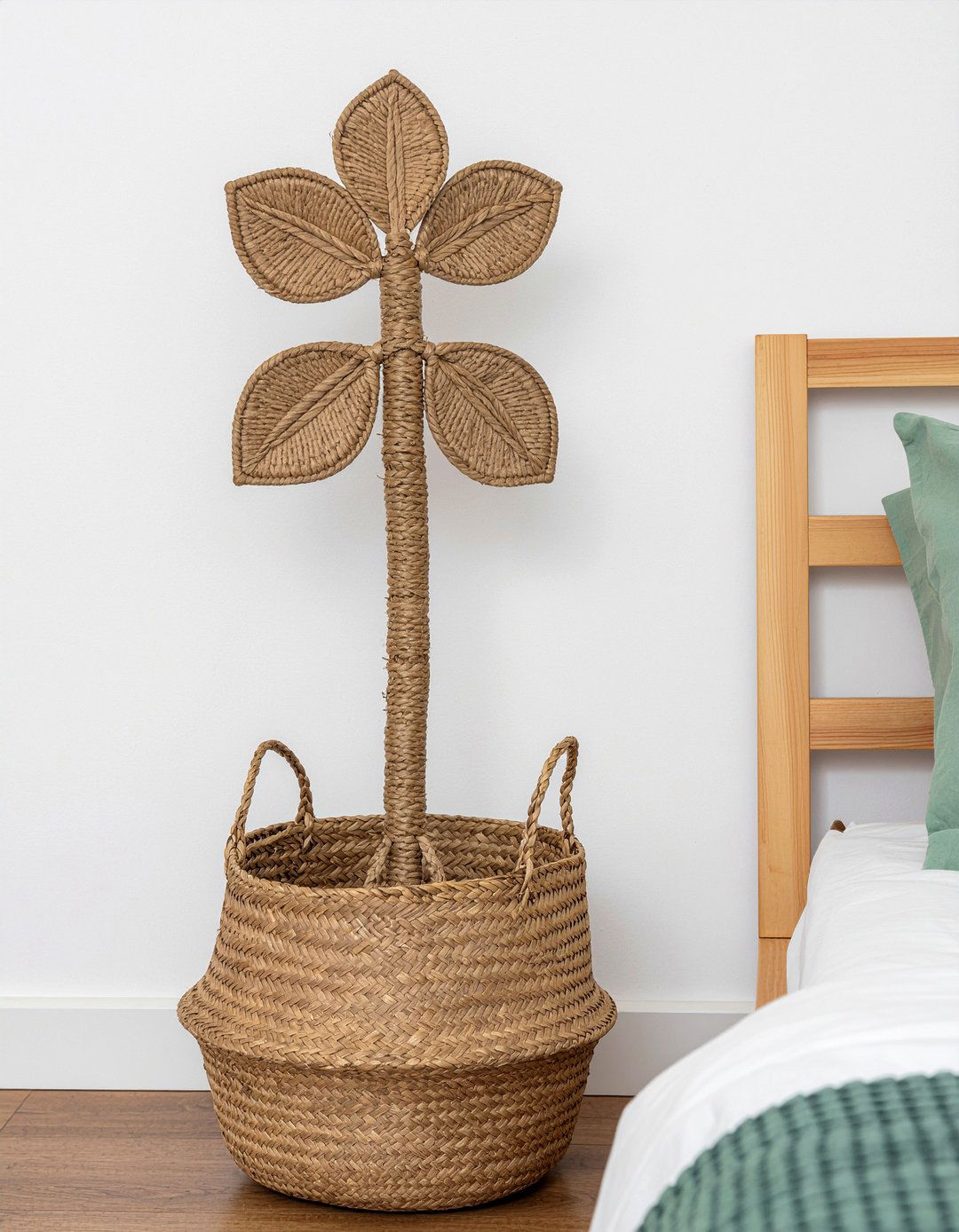 Money Tree - 30 bedroom air purifying plants