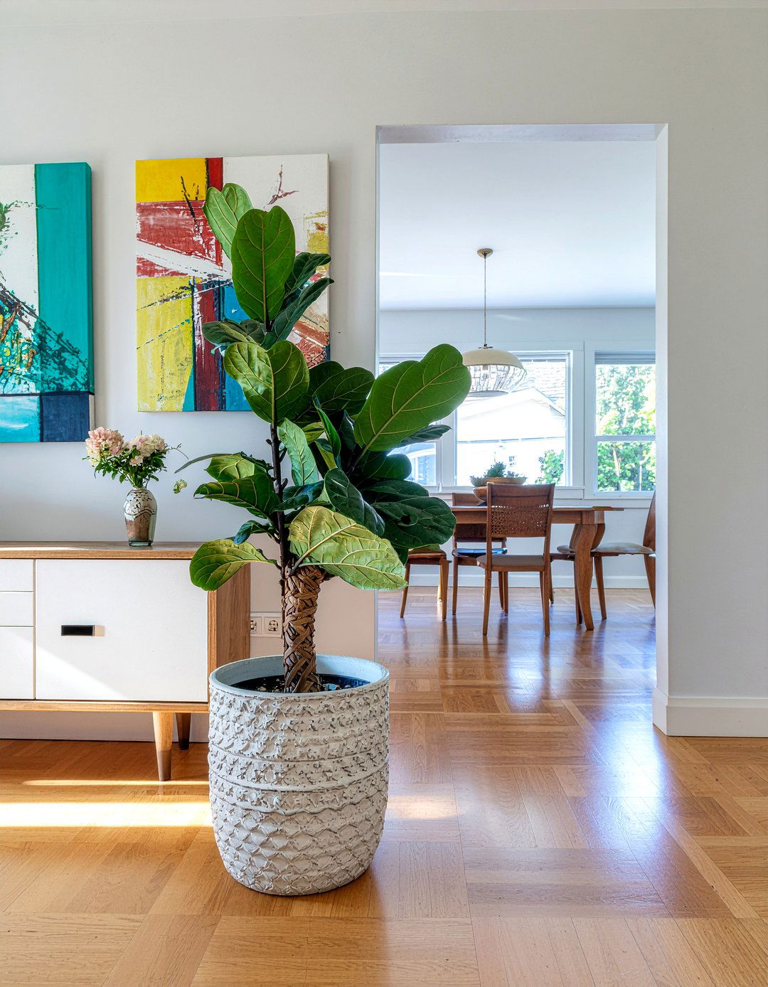 Money Tree - 30 dining room plant ideas