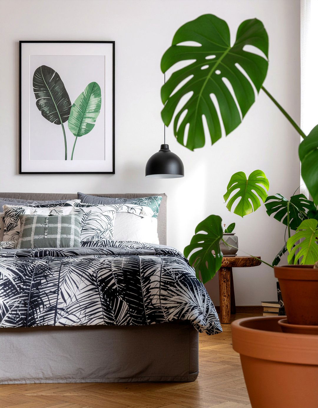 Monstera Deliciosa - 30 bedroom indoor plants