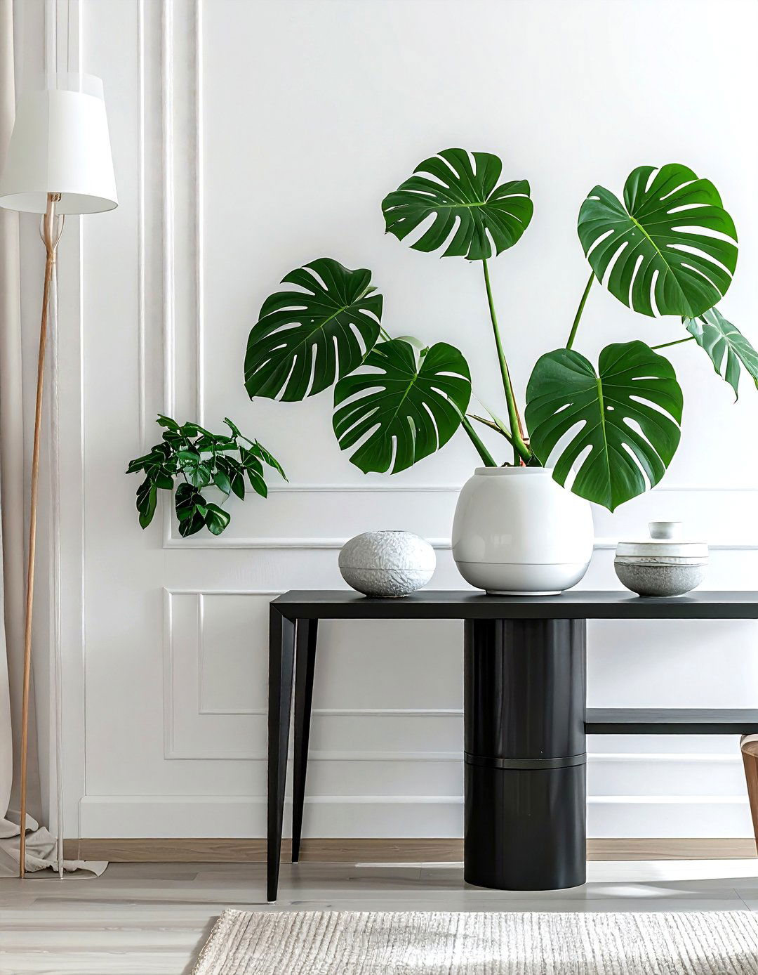 Monstera Deliciosa on Dining Room Sideboard - 30 dining room indoor plant ideas
