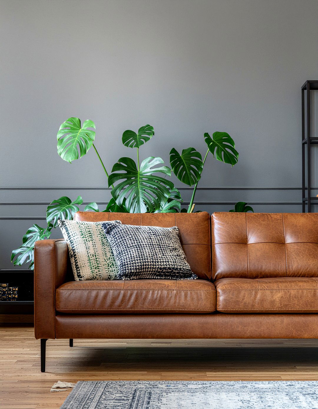 Monstera Plant Behind Sofa - 30 living room monstera ideas