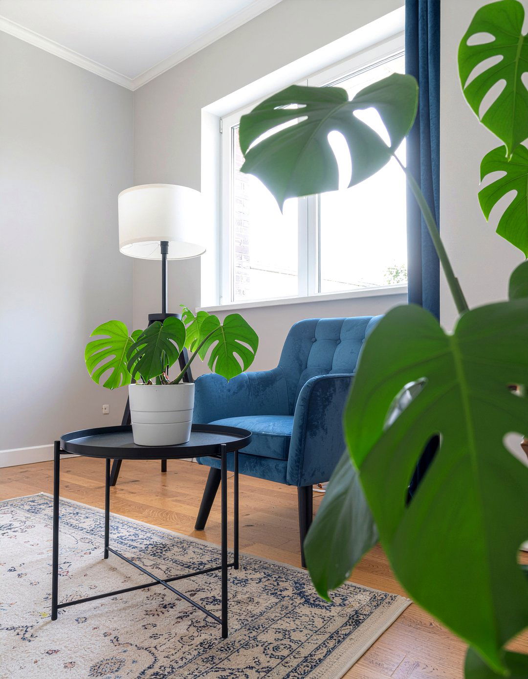 Monstera Plant Side Table - 30 living room monstera ideas