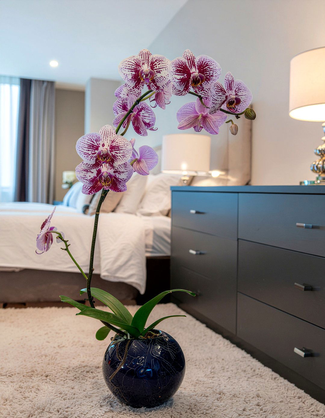 Moth Orchid - 30 bedroom air purifying plants