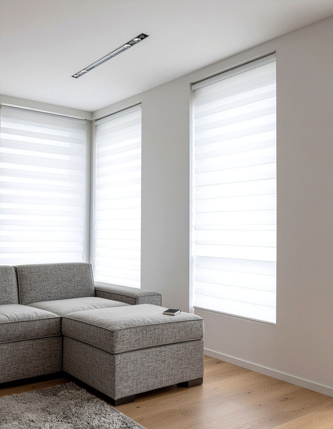 Motorized roller shades - 30 living room blinds