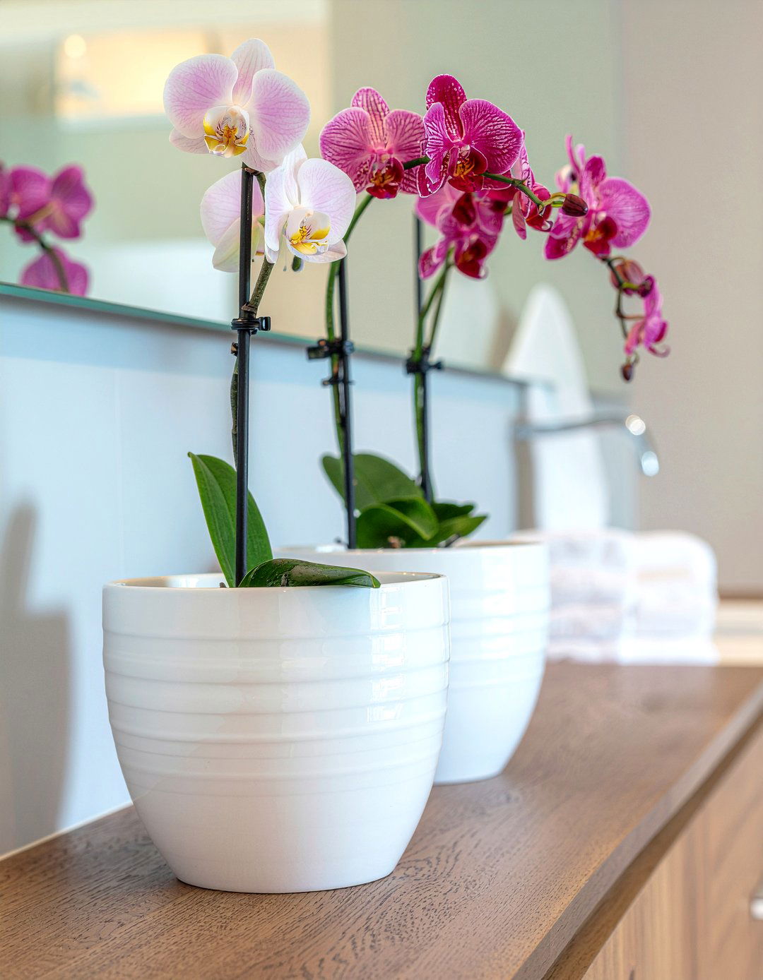 Multiple orchids bathroom counter - 30 bathroom orchid ideas
