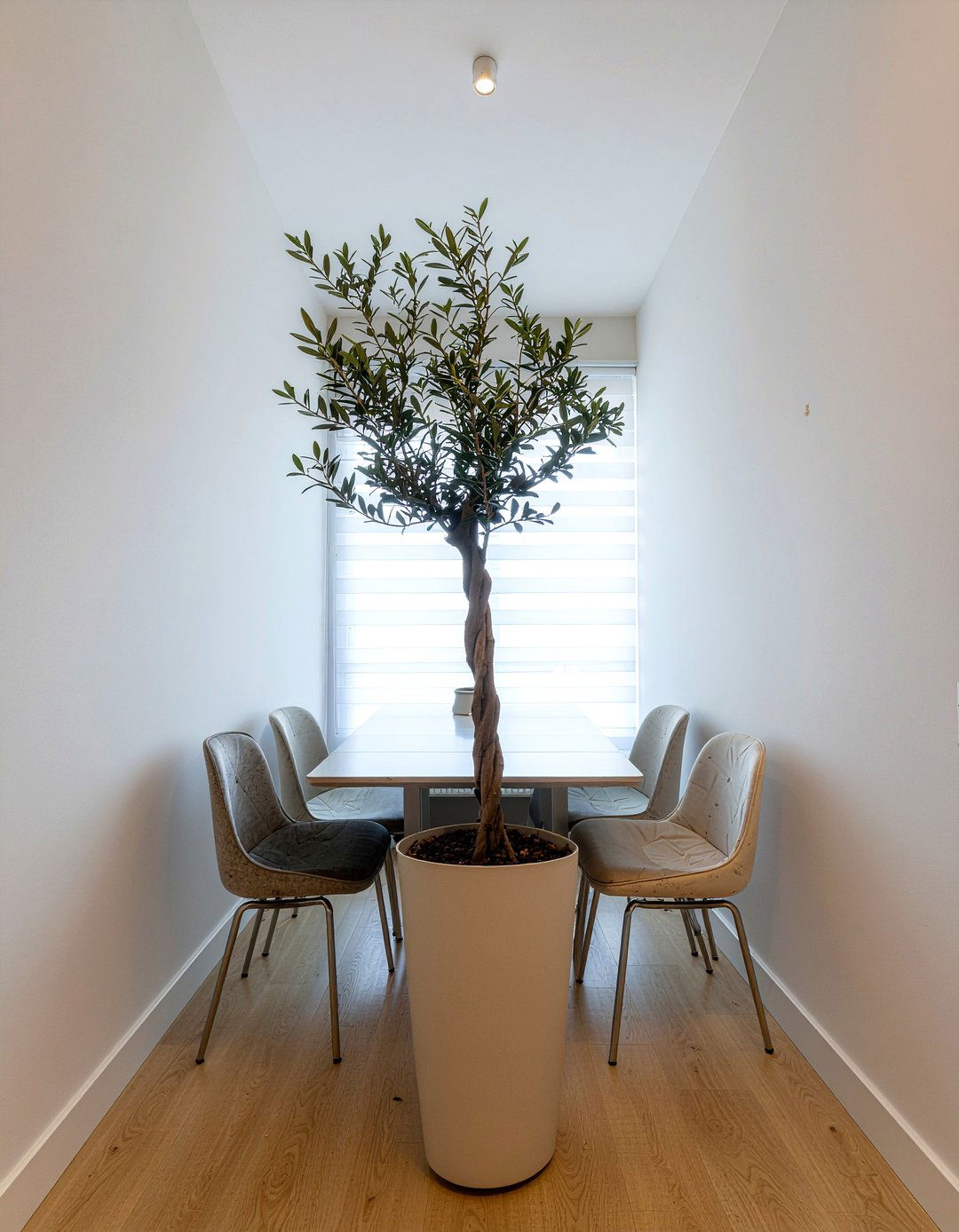 Narrow Dining Room Olive Tree - 30 dining room olive tree ideas