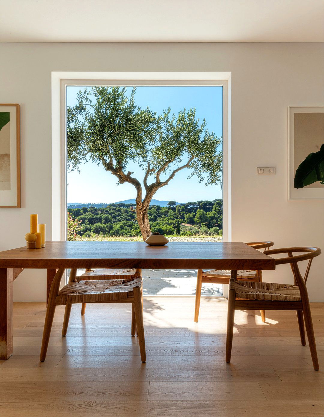 Natural Wood Table With Olive Tree - 30 dining room olive tree ideas