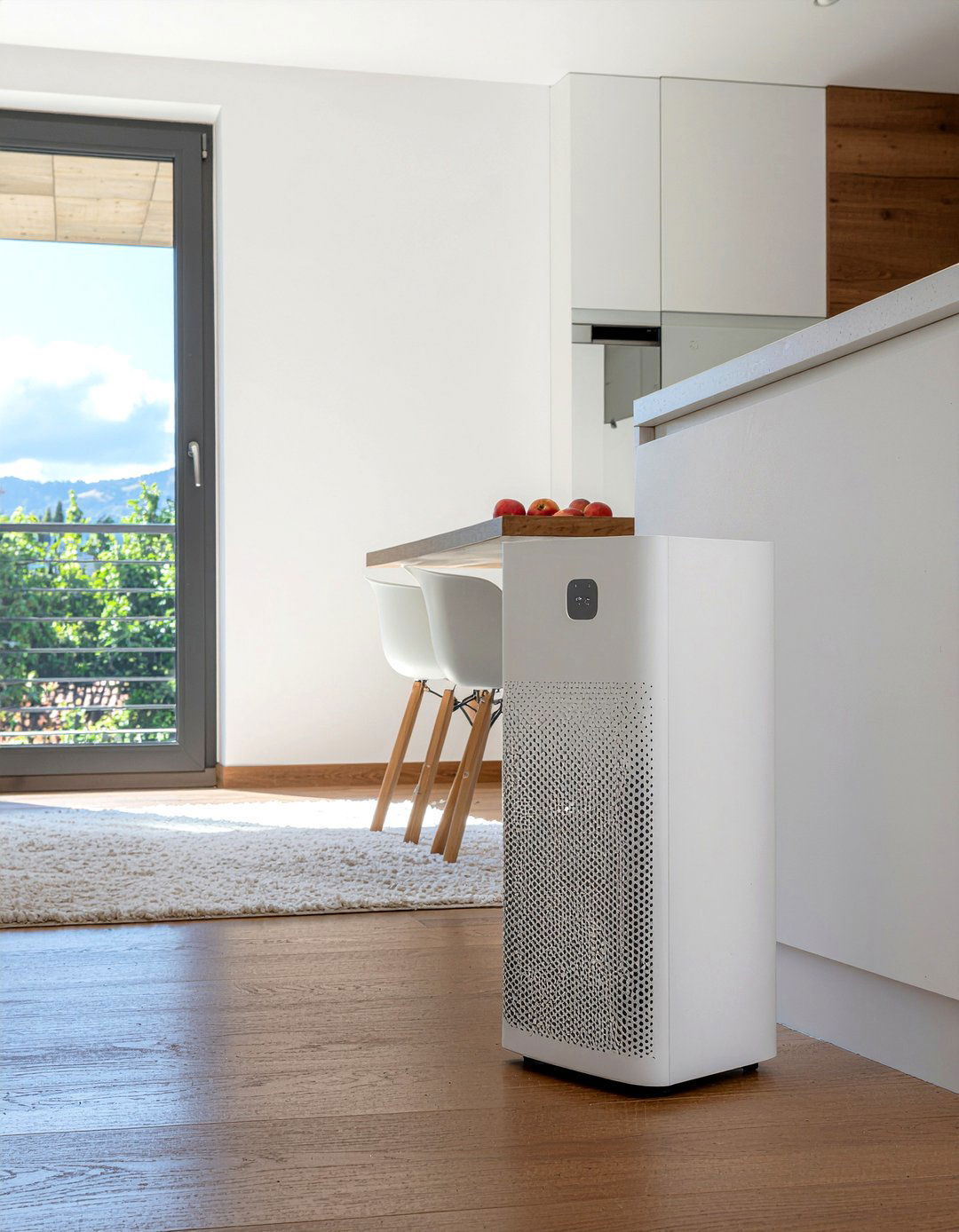 Odor Air Purifier - 30 living room air purifiers