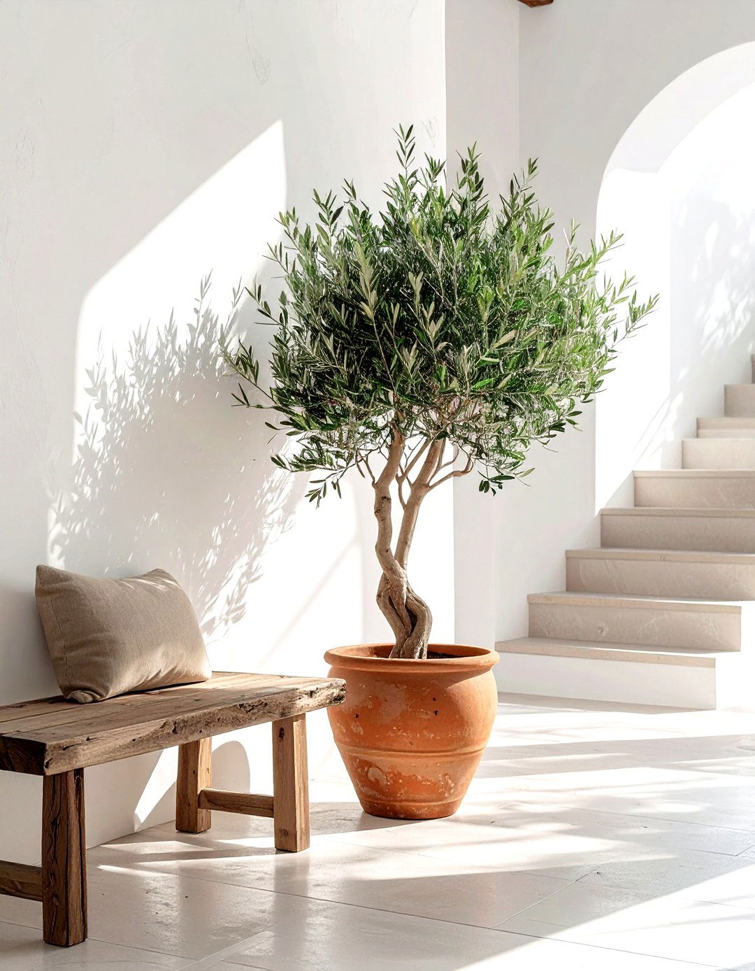 Olive Tree - 30 artificial plant ideas