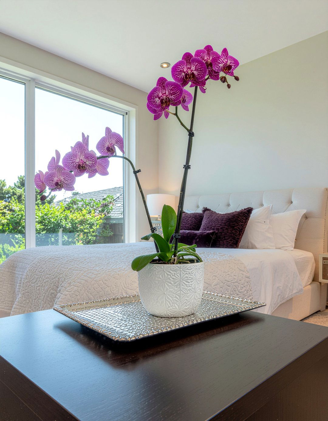 Orchid Plant Bedroom - 30 bedroom flower arrangements
