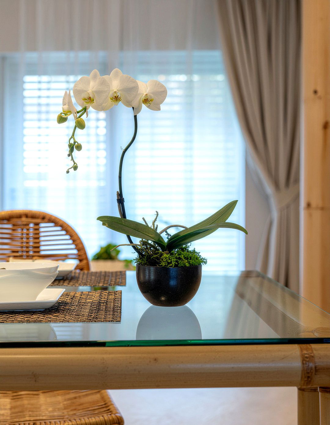Orchid Table Display - 30 dining room fresh flower ideas