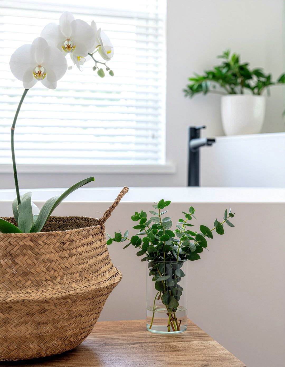 Orchid and eucalyptus bathroom - 30 bathroom orchid ideas