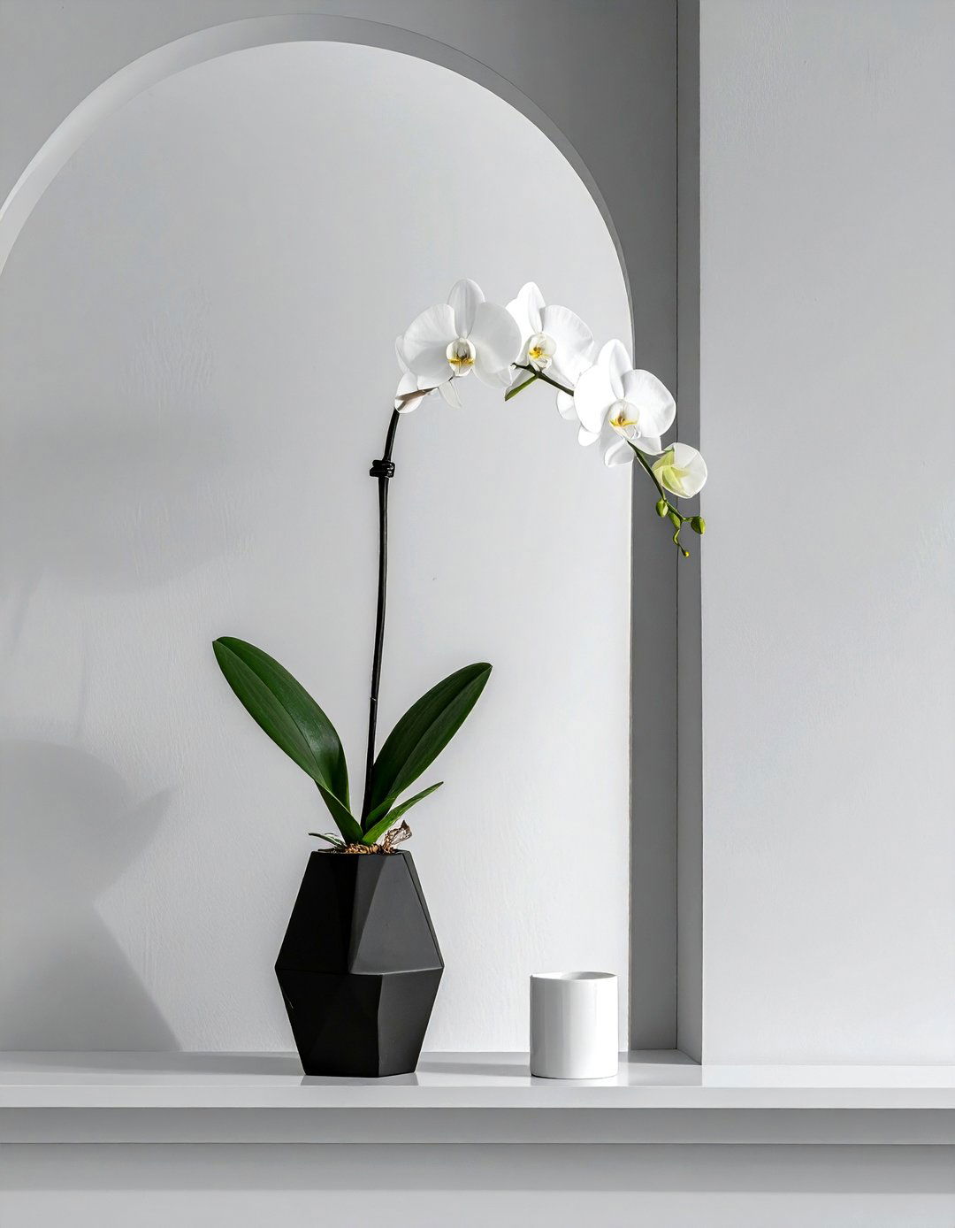 30 Vase Arrangement Ideas for Beautiful Floral Displays