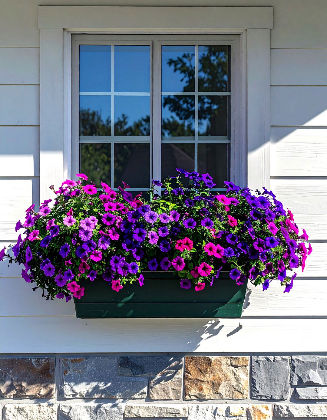 Petunia window box display - 30 window box ideas