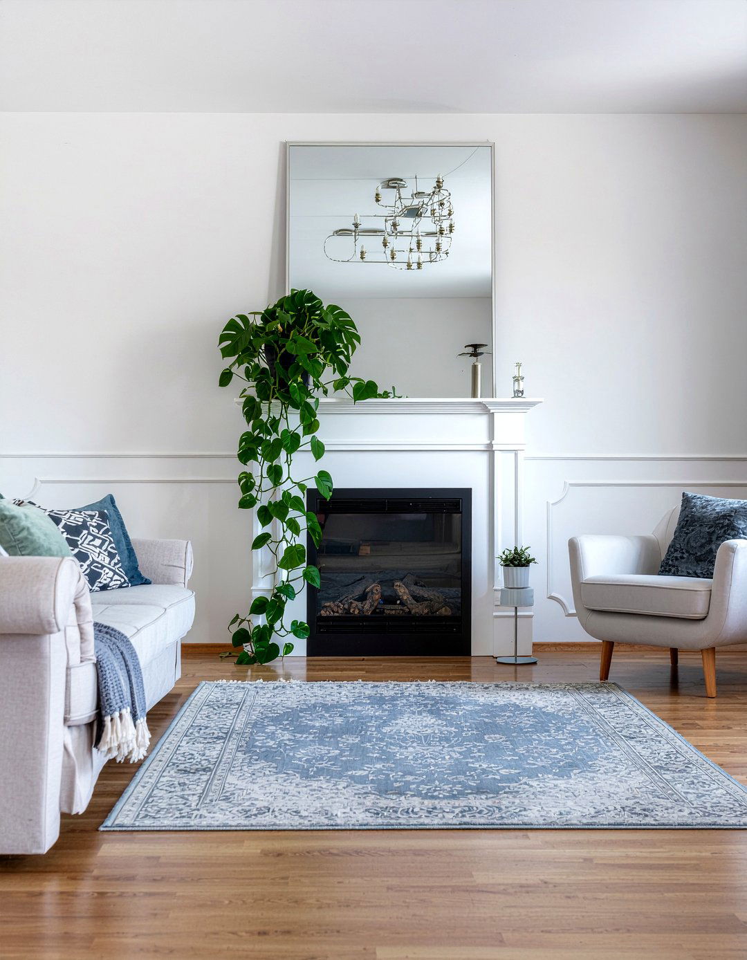 Philodendron - 30 living room plants