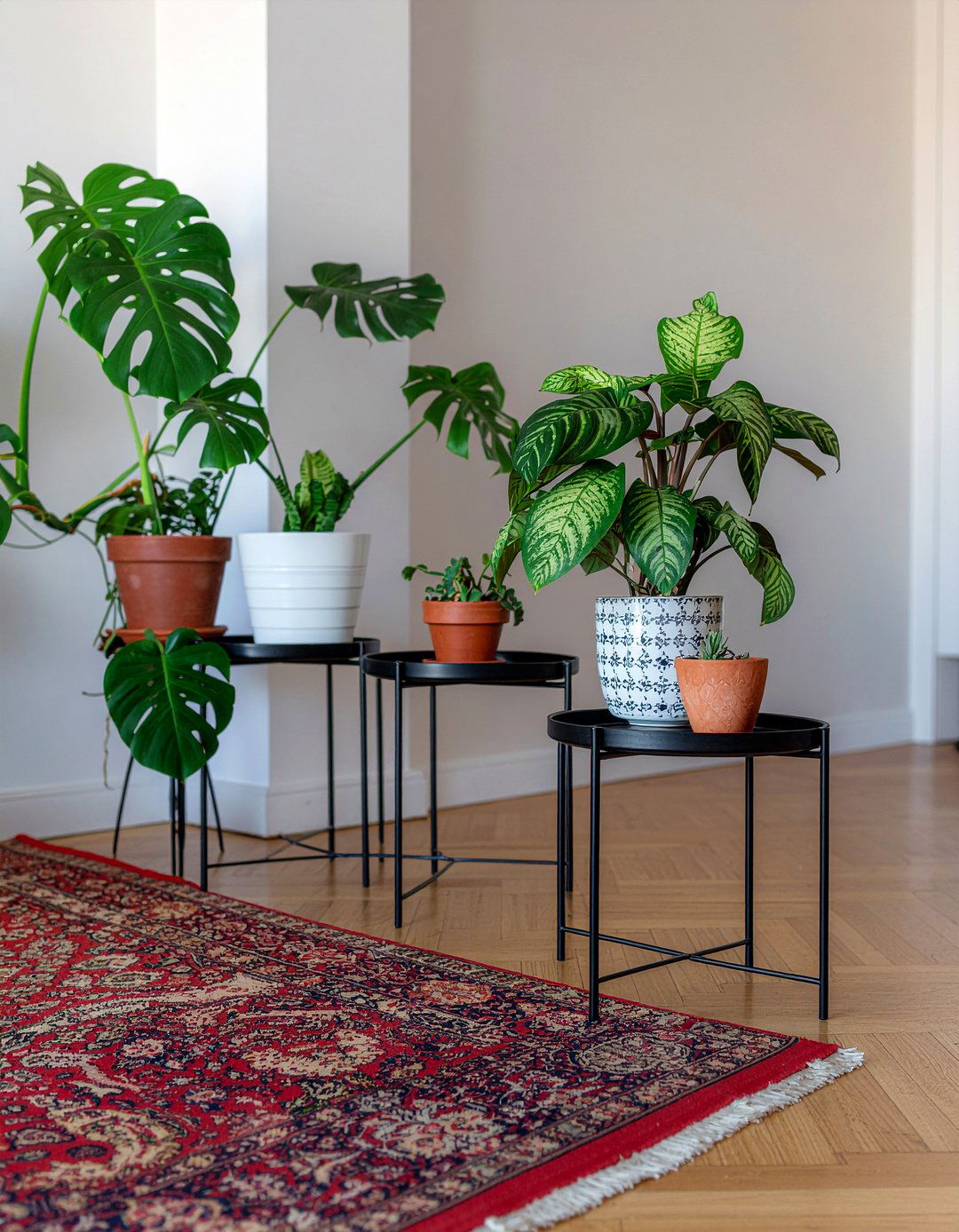 Plant filled living room - 30 eclectic living room ideas