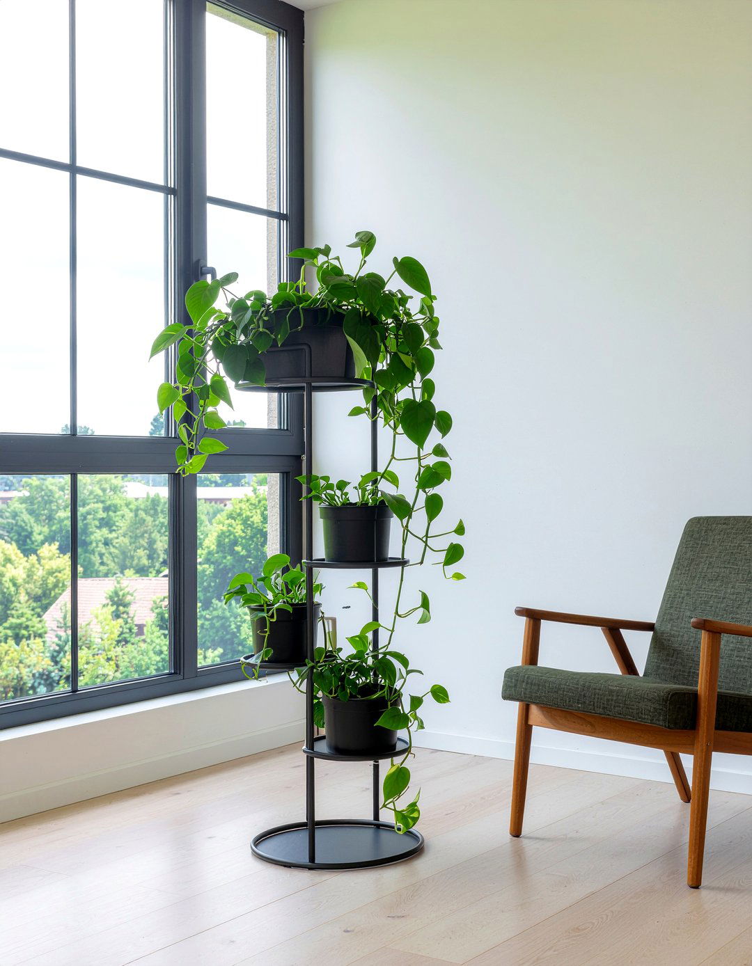 Pothos In Corner Of Living Room - 30 living room pothos ideas