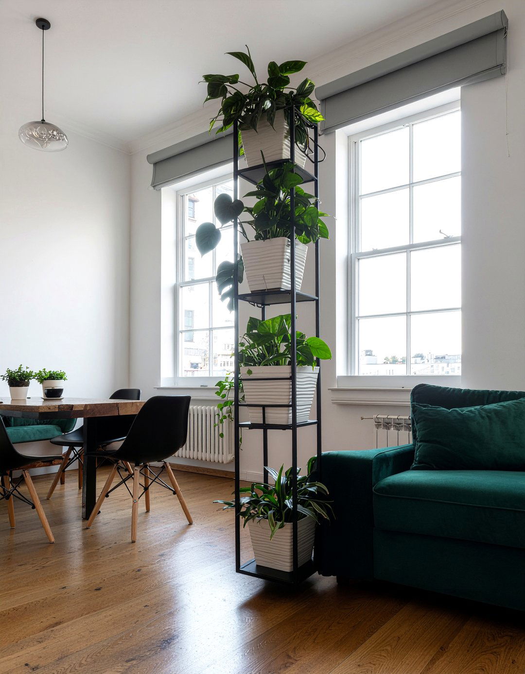 Pothos Room Divider - 30 living room pothos ideas