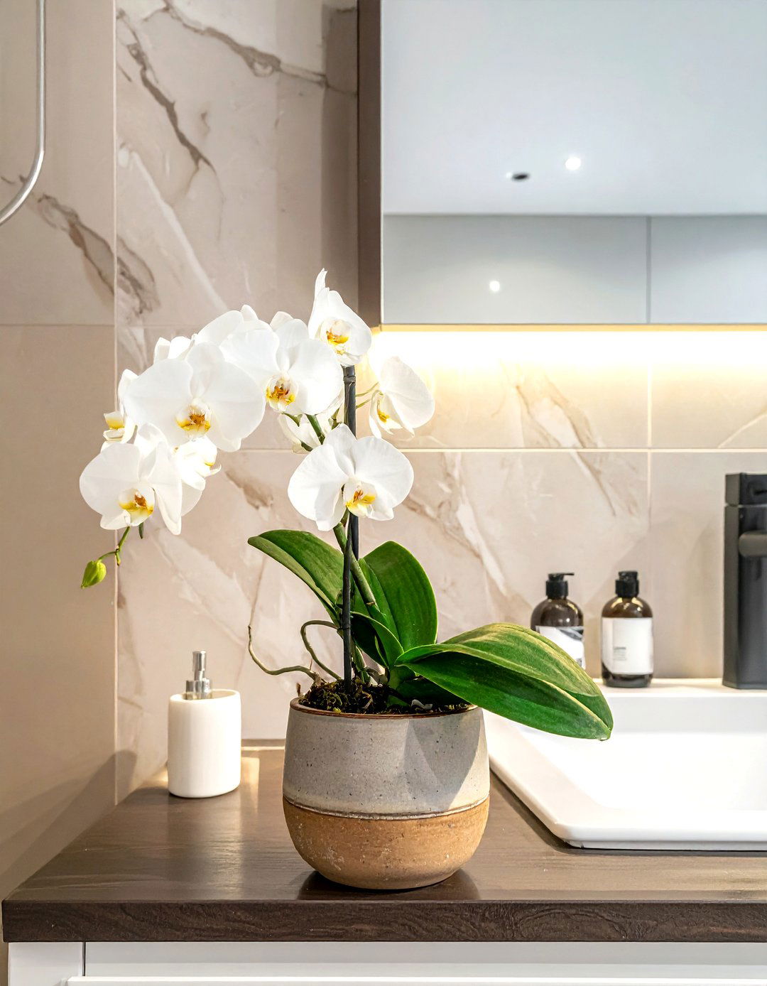 Potted Bathroom Orchid - 30 bathroom vanity accent ideas