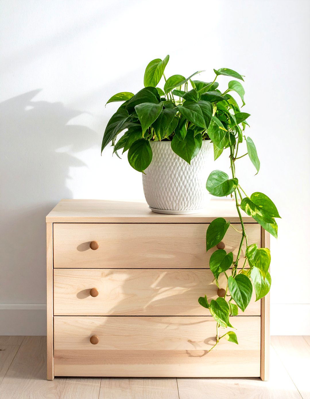 Potted Green Houseplant - 30 dresser top styling ideas