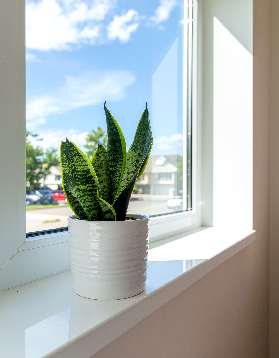 Potted Indoor Plant - 30 bathroom high-low mixing ideas