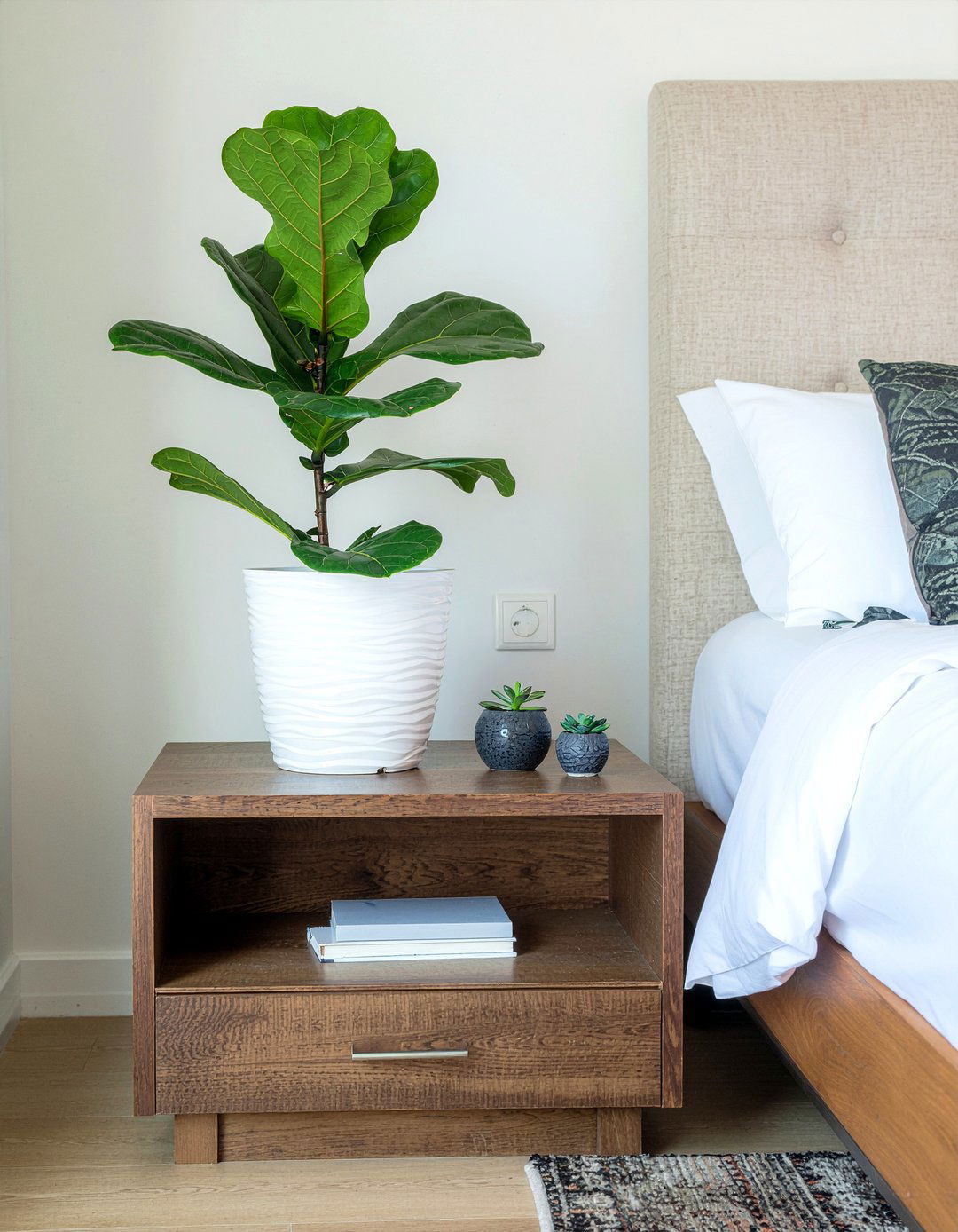 Potted Indoor Plants - 30 hotel bedroom ideas