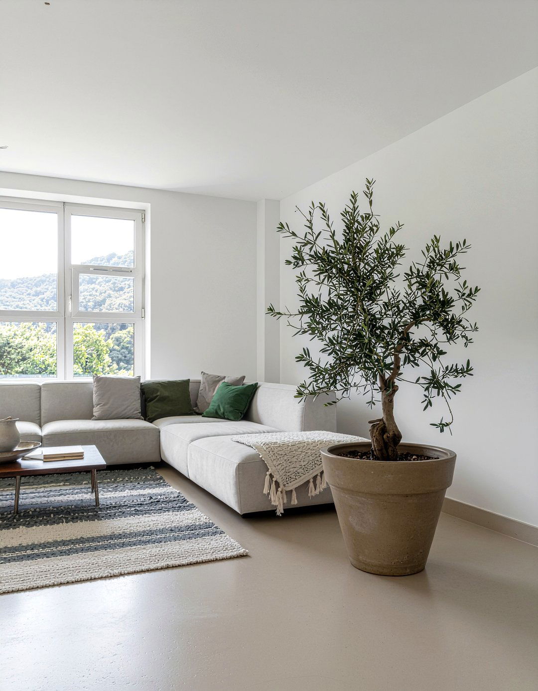 Potted Olive Tree - 30 warm minimalist living room ideas