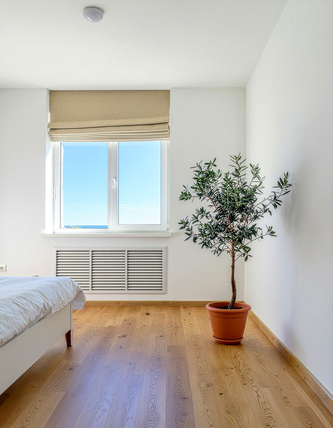 Potted Olive Tree - 30 scandinavian bedroom ideas