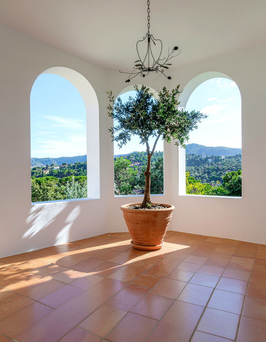 Potted Olive Tree Indoor - 30 Spanish living room ideas