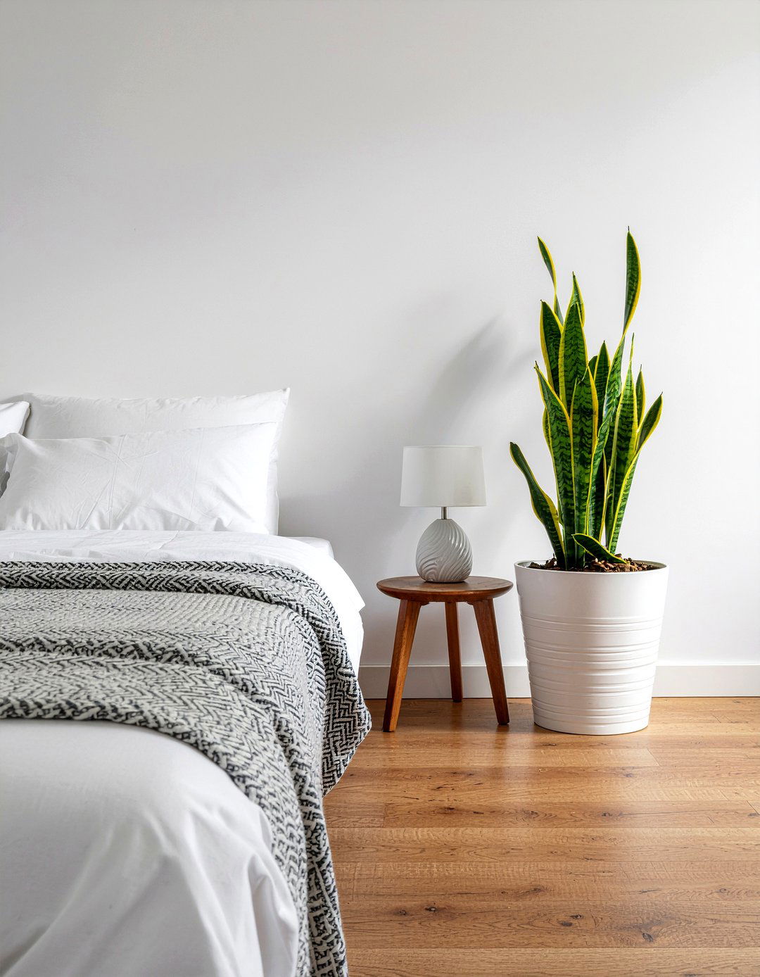 Potted Snake Plant - 30 zen bedroom ideas