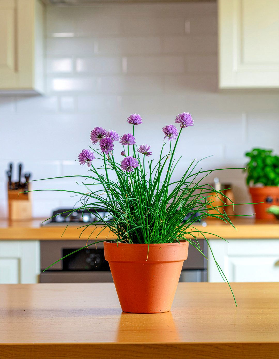 Potted chives for kitchen use - 30 kitchen potted plant ideas