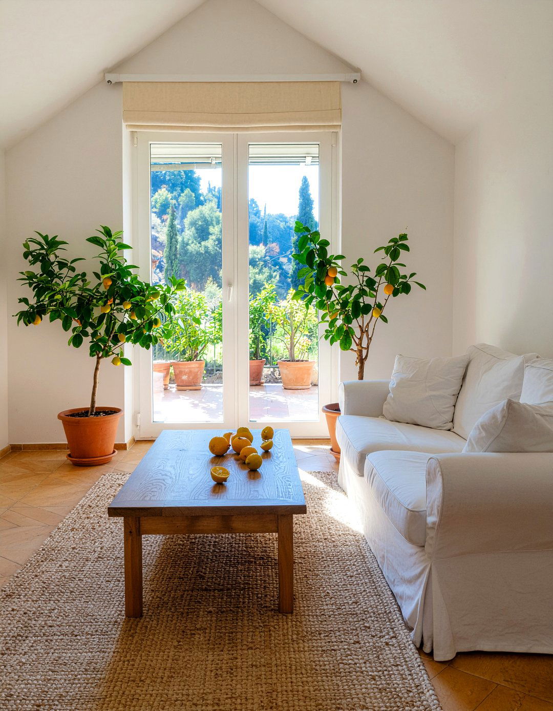 Potted citrus plants - 30 Mediterranean living room ideas