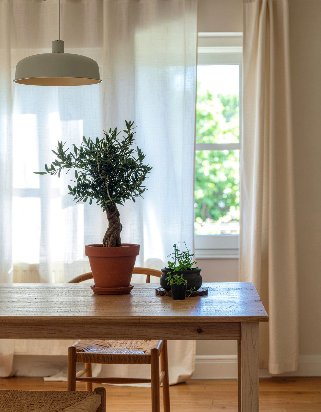 Potted indoor plants - 30 countryside dining room ideas