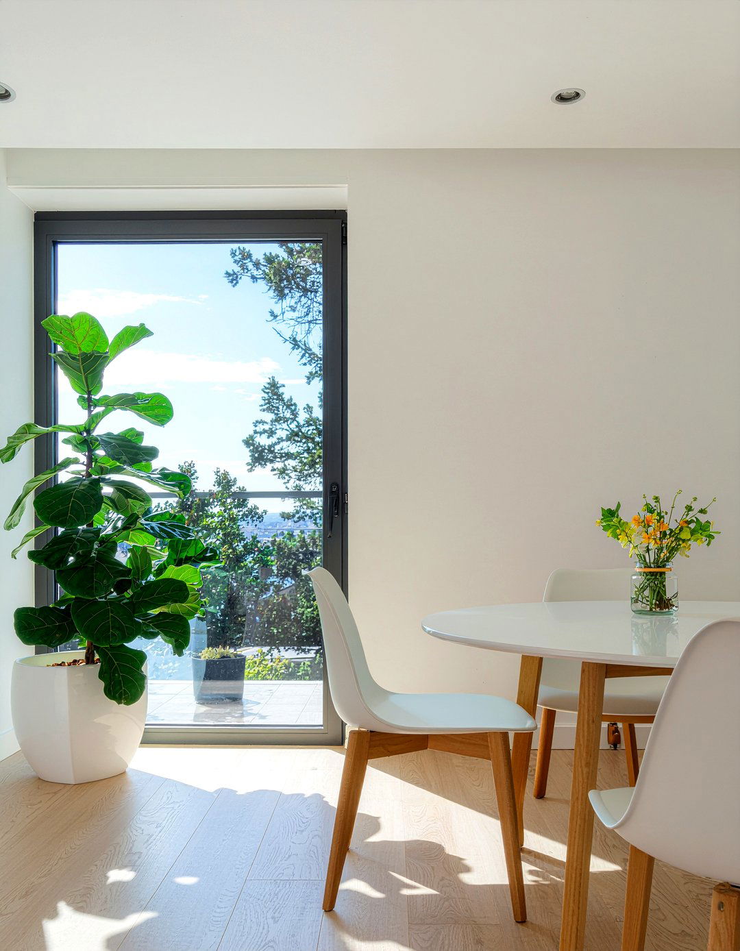 Potted indoor trees - 30 removable dining room decor ideas