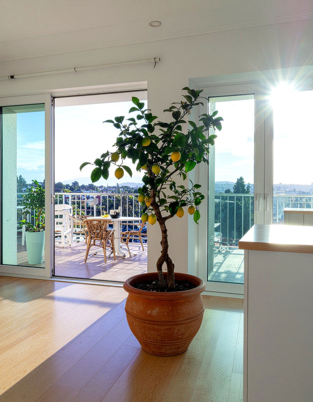 Potted lemon tree for kitchen - 30 kitchen potted plant ideas